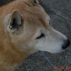 Meet your Posher, Craig